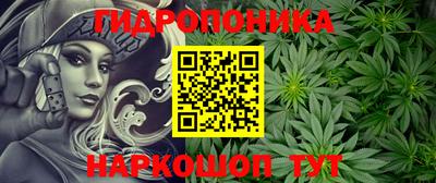 apvp Сланцы